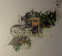 06 Elektronikteile überwachsen 56x51